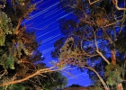 Batesford Bridge startrail